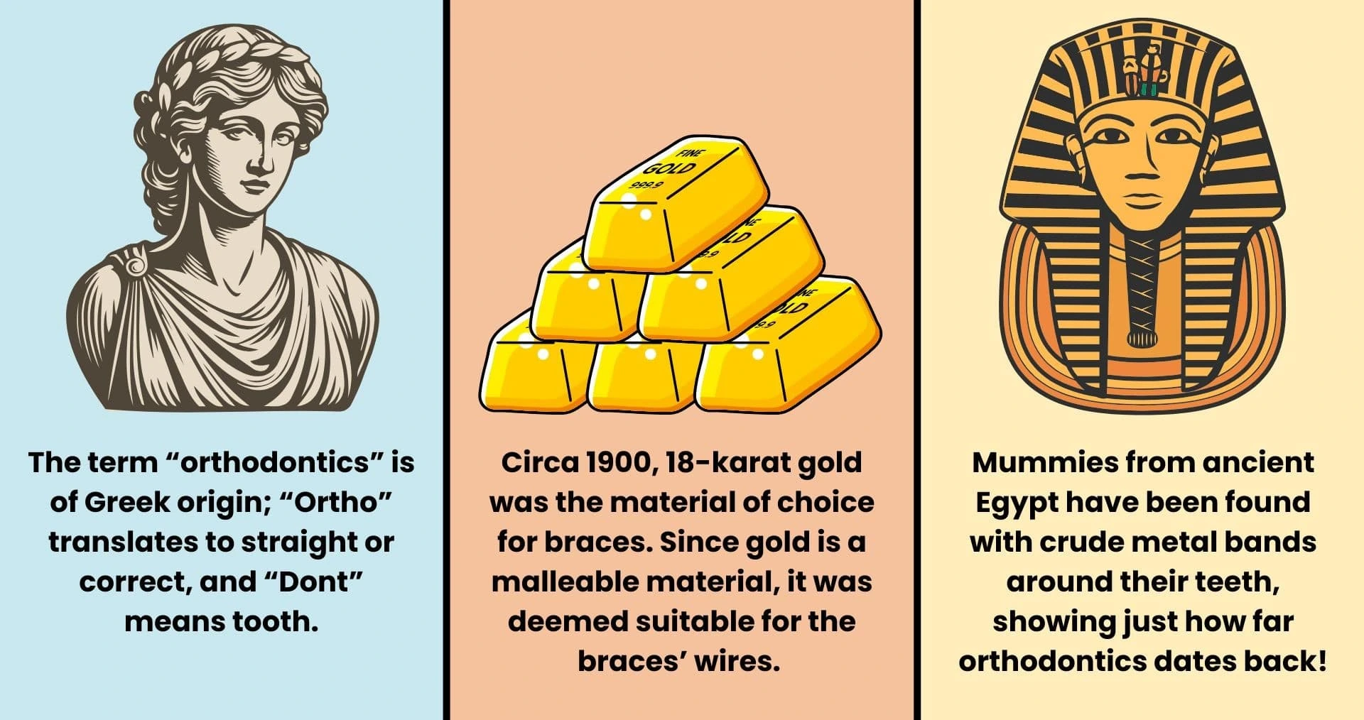 Illustration displaying orthodontic facts